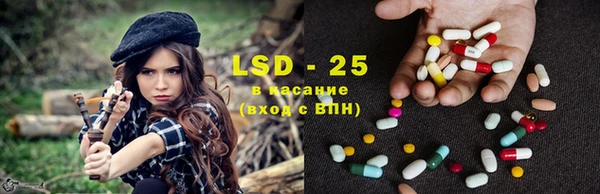дживик Осташков
